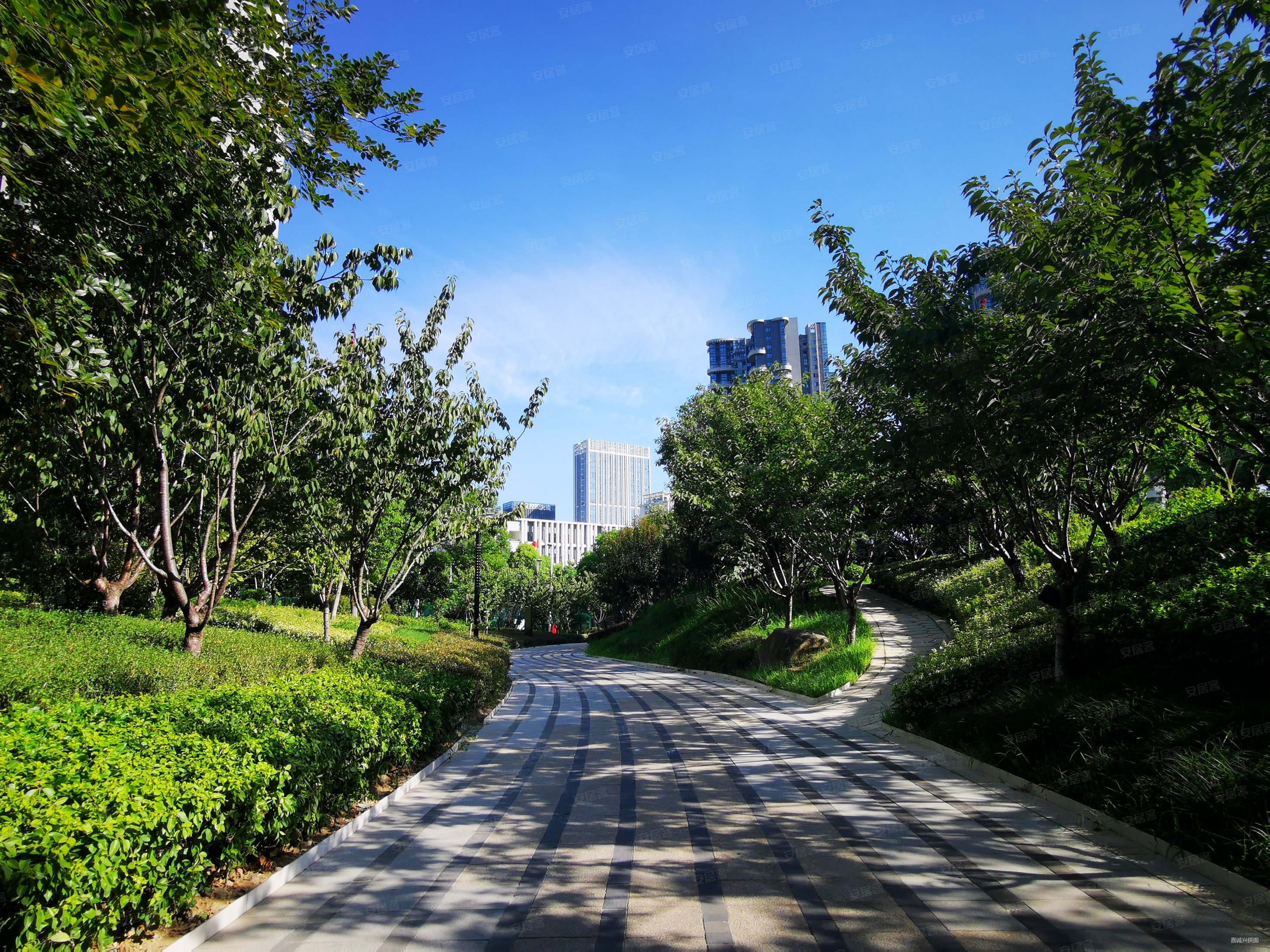 武汉房产网>武汉二手房>武昌二手房>徐东二手房>金沙泊岸>