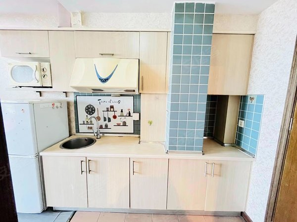 【多图】狮山丽晶,狮山租房,狮山路 淮海街 狮山丽晶 精装 一室一厅