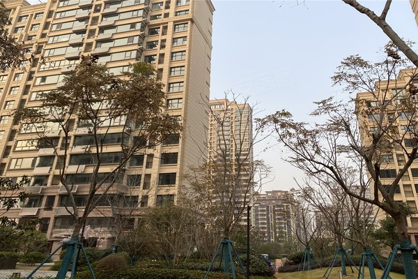 力高君逸府,皇甫山路,近长临路-合肥力高君逸府二手房,租房-合肥安居