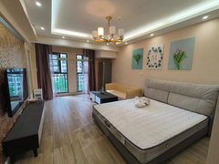 昭通昭阳西片区时代峰尚 温馨一室一厅一厨一卫44平精装带家具家电拎包入住出租房源真实图片