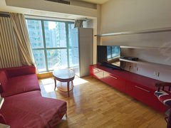 北京东城东直门外海晟名苑(北区) 1室1厅1卫 11000元月 配套齐全出租房源真实图片