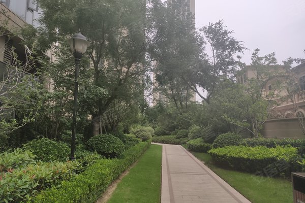 华瑞紫韵城星园,长椿路-郑州华瑞紫韵城星园二手房,租房-郑州安居客