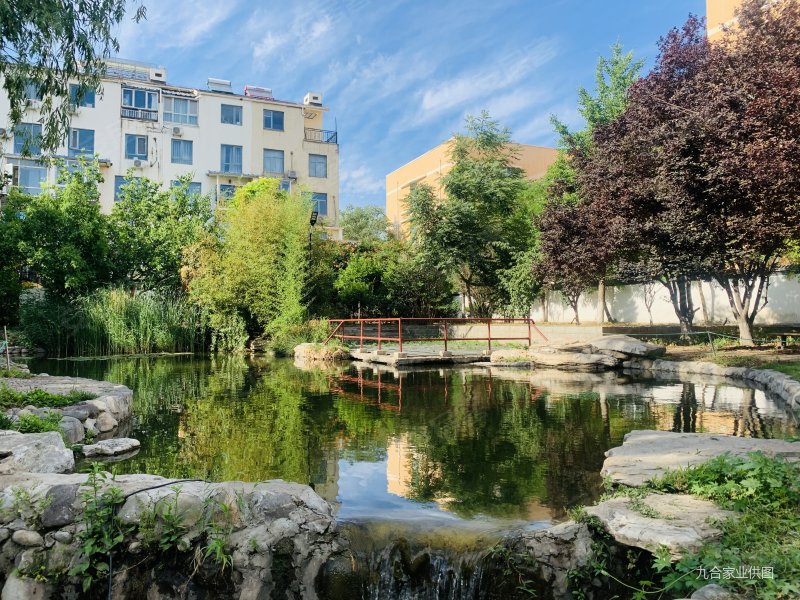 观筑庭园 双卫格局 有电梯 朝向好   清晰 高楼层采光充足