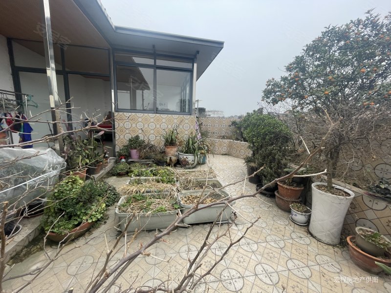 72个买套二花园房喜欢花花草草的来