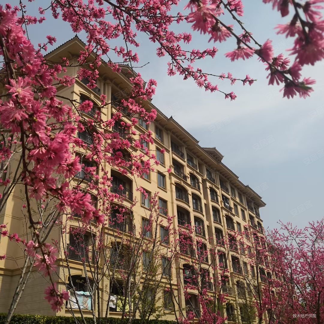 鲁信和璧花园3室2厅2卫137.11㎡南北280万