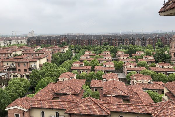 上海二手房 上置香岛原墅(公寓住宅) > 郭东伟解读上置香岛原墅(公寓