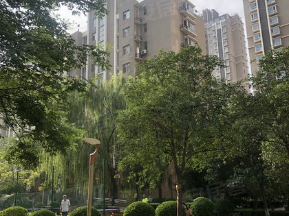 恒安新东城雅园a1区周边房产中介经纪人评价-临汾安居客