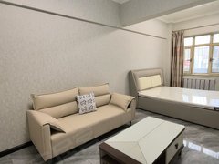 银川兴庆新一中凝聚力乙栋 新华街旁 精装修一室公寓 电梯房有燃气 空调房出租房源真实图片