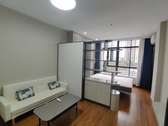 深圳龙岗爱联龙岗中心城，近爱联大运中心地铁站，大运体育场天光城，拎包入住出租房源真实图片