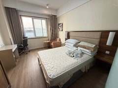 合肥政务奥体中心朝南 可月付短租 万象城 置地广场 新地中心出租房源真实图片