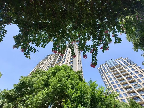 【多图】仁恒西郊花园,徐泾租房,(精耕仁恒)(280平五房有钥匙)(难得出