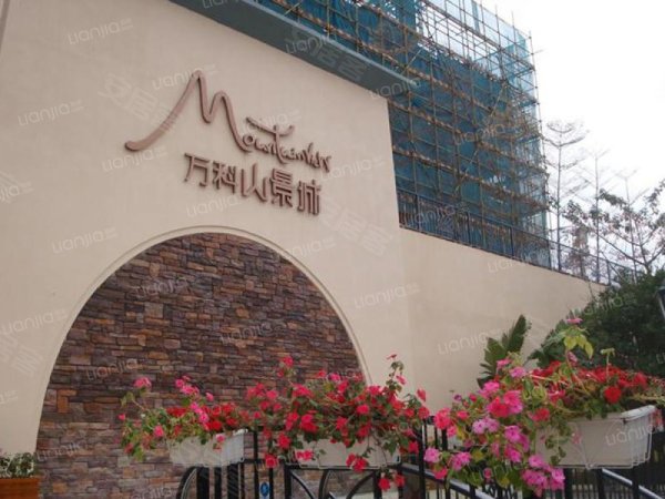 万科山景城 萝岗长岭居板块带学位 地铁轻轨 年底清货