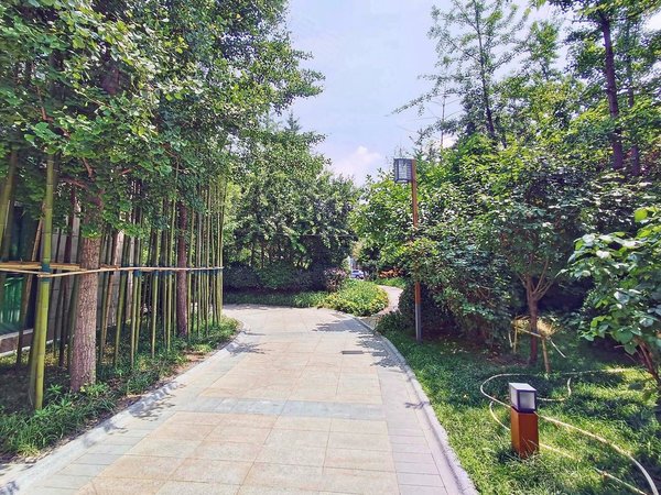 一阳g房 明卫 初次出租 江南府柏林郡出租房源真实图片