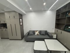 常州天宁青龙价格可谈 押一付一 美吉特精装公寓 近黑牡丹科技587424出租房源真实图片
