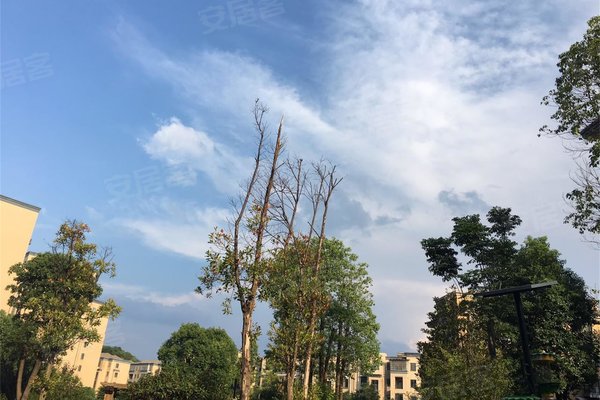 【南郡明珠二手房,长沙南郡明珠二手房出售信息】- 上海安居客