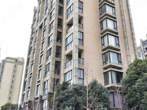 上海闵行浦江芦恒路60号楼8号线 地铁口 两室两厅 可押一付一  可做