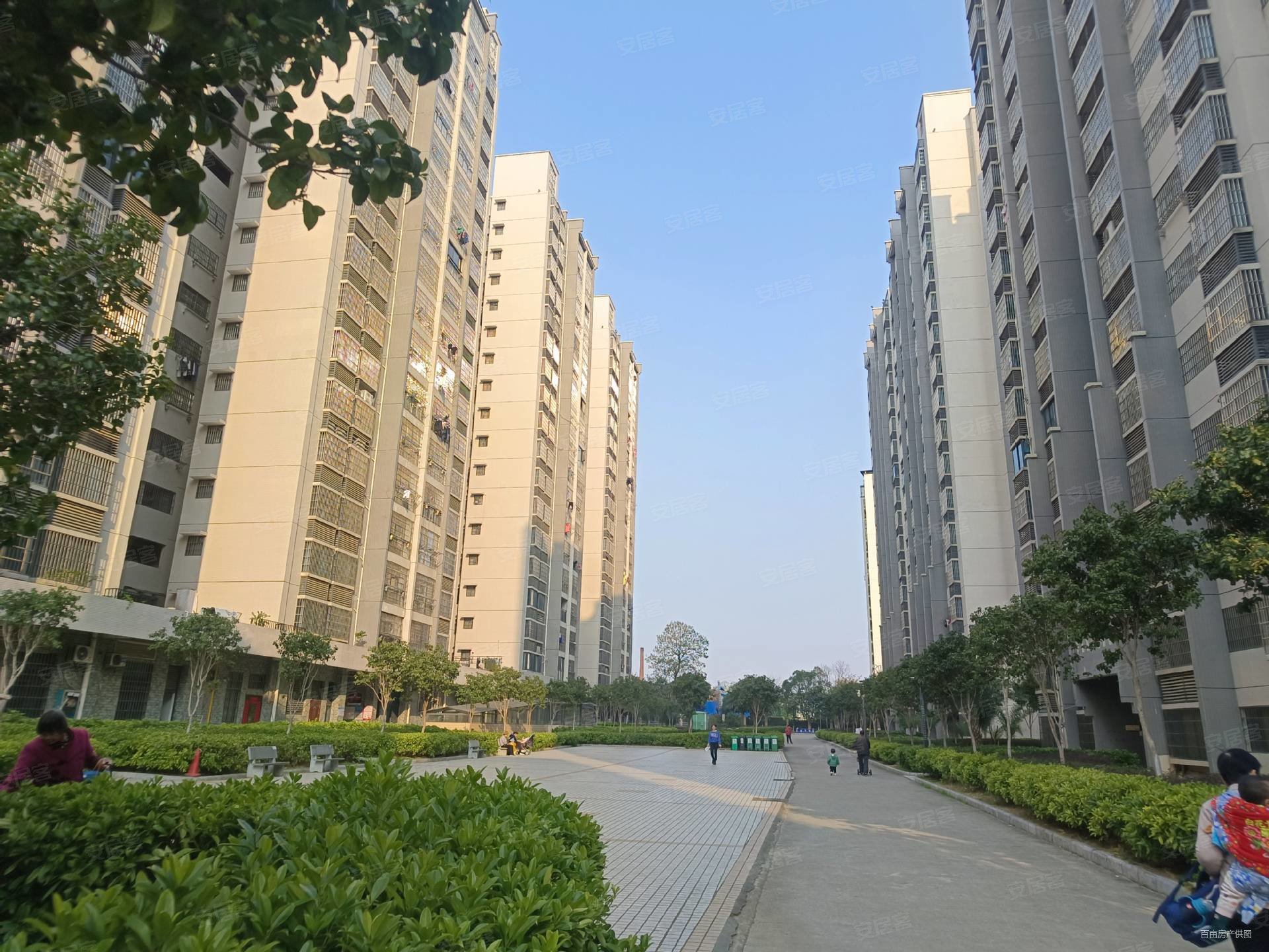 鱼峰区龙泉路天翼九龙印象118平满五住房南北通透