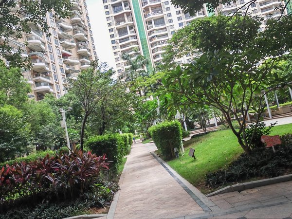 深圳光明光明楼村花园(一期)深圳光明城光明科学城,中山大学附近,豪宅