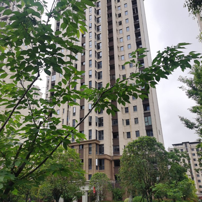 【中梁东阳府, 中梁东阳府小区详情,房价走势,房源,业主论坛】- 金华