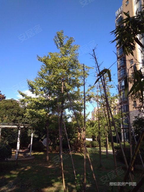 阅城国际花园二期精装修拎包入住南北通透小区中间位置