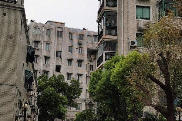 莱茵半岛怎么样,好不好_中介房产经纪人:徐友跟对莱茵半岛的评价-上海