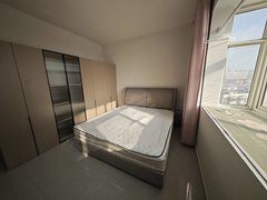 驻马店驿城大商新玛特甲壳虫 黄淮学院 柏林建国 附近精装客卧分离标准一室一厅一厨出租房源真实图片