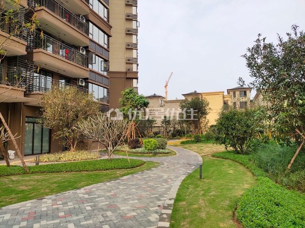 南宁良庆良庆镇合景香悦四季银岭小学旁 合景香悦四季 3室2卫 精装修