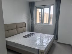 南京秦淮月牙湖精装两室出租 紫杨佳园 拎包入住 电梯房中等楼层出租房源真实图片