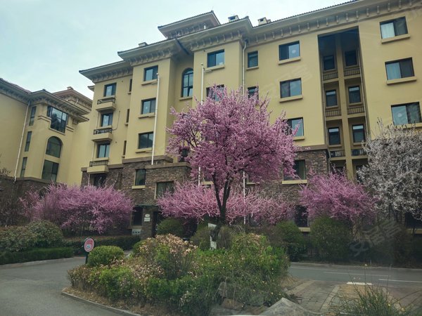 青岛胶州新城区书香名苑书香名苑 紧邻实验初中,胶州一中,南北通透头