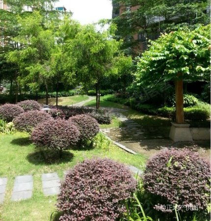 海逸锦绣桃园,新装修,南北通透,视野景观好,五年唯一税费低