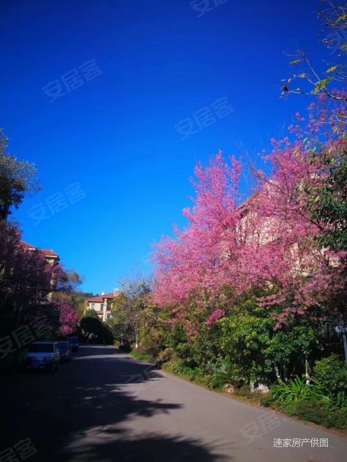 安宁温泉山谷花园洋房26w26w 楼层好 密度低  南北通透