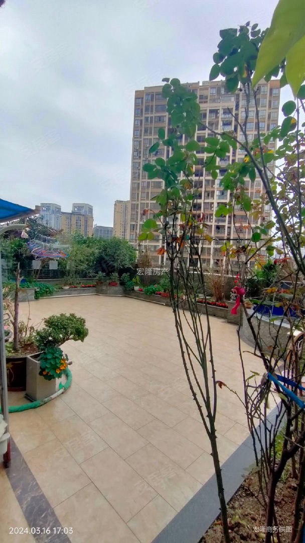 新壹城3房出售价格美丽值得拥有