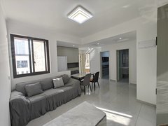 合肥新站陶冲湖新店西苑定制衣柜 自住精装两房真图真价 民用水电好房不容出租房源真实图片