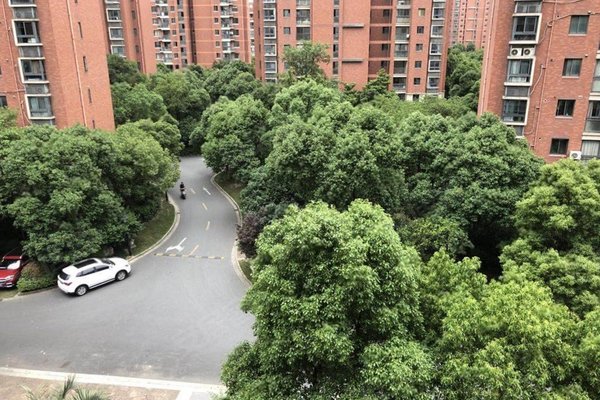 新弘国际城(公寓住宅)