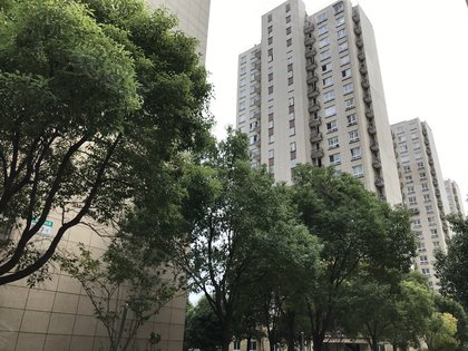 【鹤沙航城汇善嘉苑房价走势,鹤沙航城汇善嘉苑房屋出租,鹤沙航城汇善