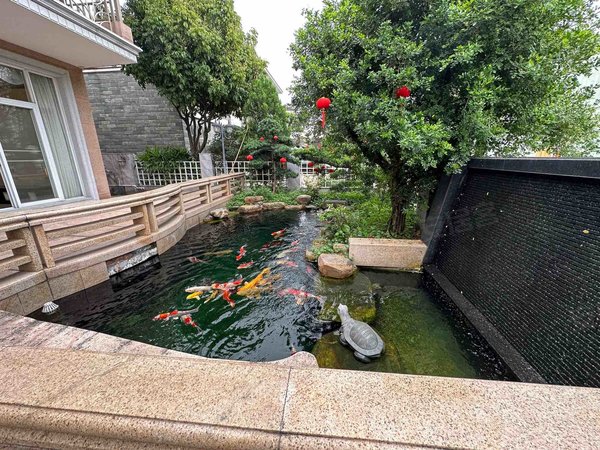 佛山顺德容桂东逸湾(别墅)东逸湾(别墅) 精装出租450方占地有天有地有