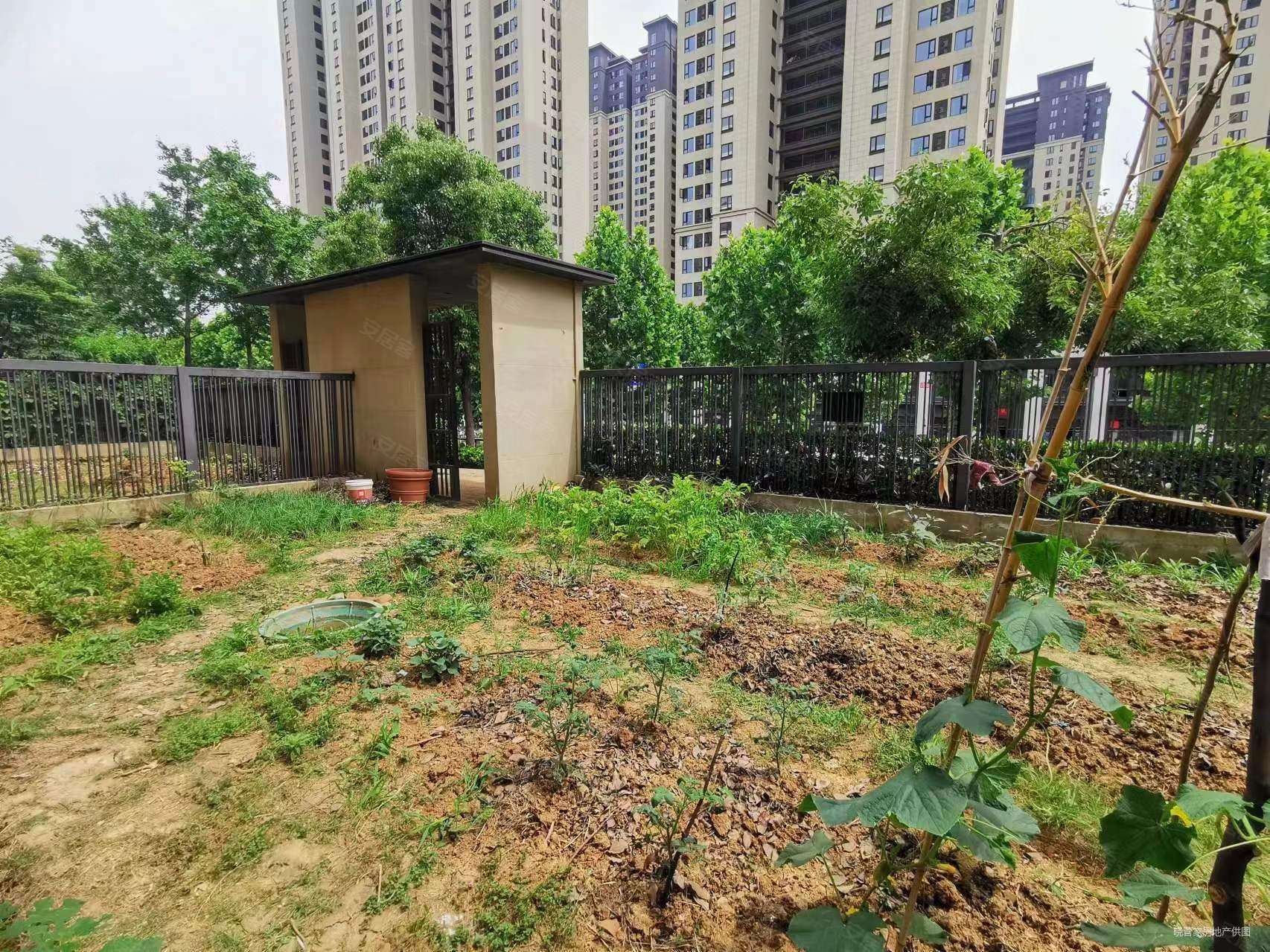 新上必卖好房 绿地国际绿想城 小洋房 带150平大院子,绿地国际理想城