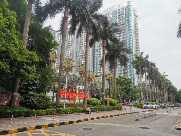 广州海珠工业大道南第三金碧花园石溪b出口 金碧三期 电梯1房1厅 拎包