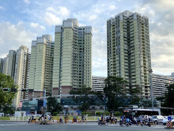 深圳福田华强北红荔村住宅区红荔村住宅区 新推三房户型,刚刚空置