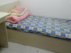 齐齐哈尔龙沙南站大商新玛特后身出租各种各样的单间。出租房源真实图片