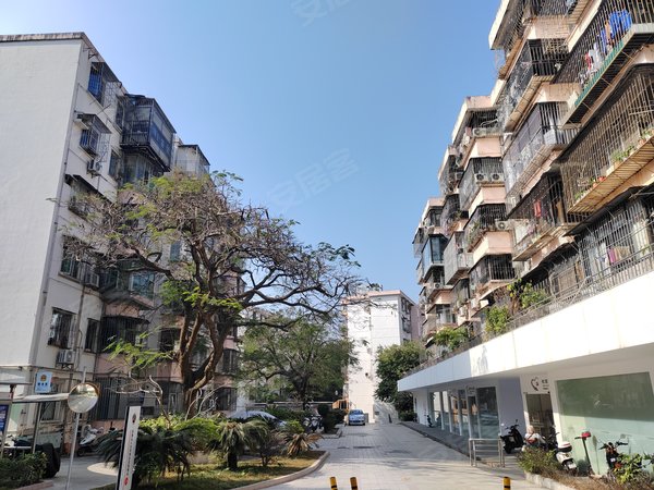 深圳南山蛇口花果山小区(南山)花果山小区(南山) 1室1厅1卫 4200.