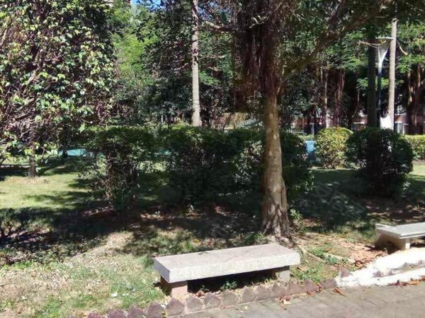 【多图】心怡花园,布心租房,心怡花园近地铁口大三房南北通随时入住