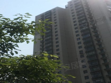 国际周边房产中介经纪人评价-上海安居客