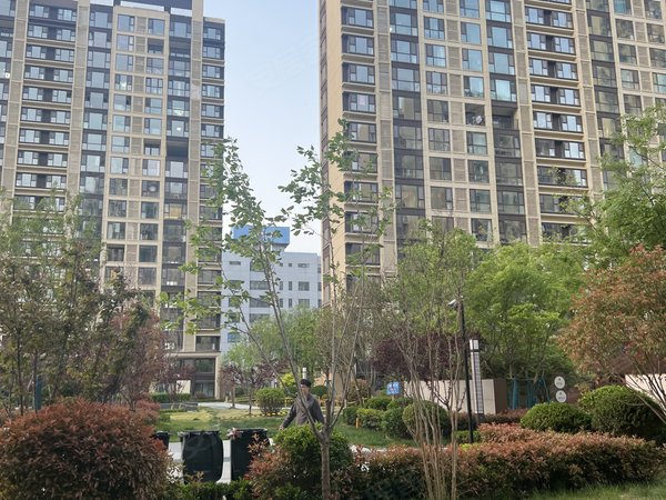 青岛城阳实验二小旭辉银盛泰正阳府新出好房 正阳府165平套四 干净