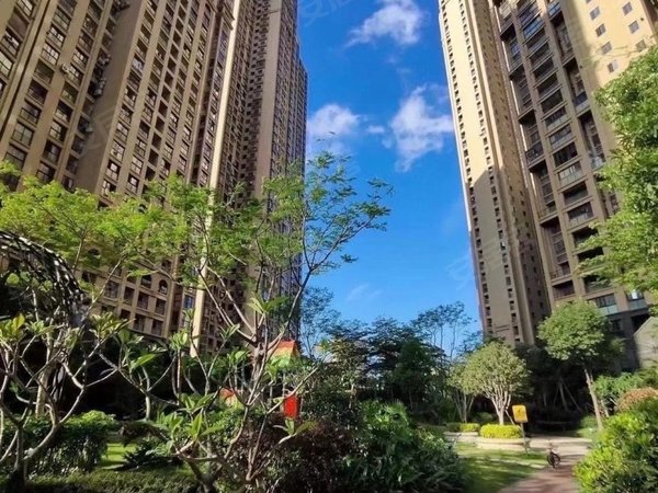 泉州晋江万达广场世茂御龙湾湖心岛世茂御龙湾 湖心岛 精装三房两厅两