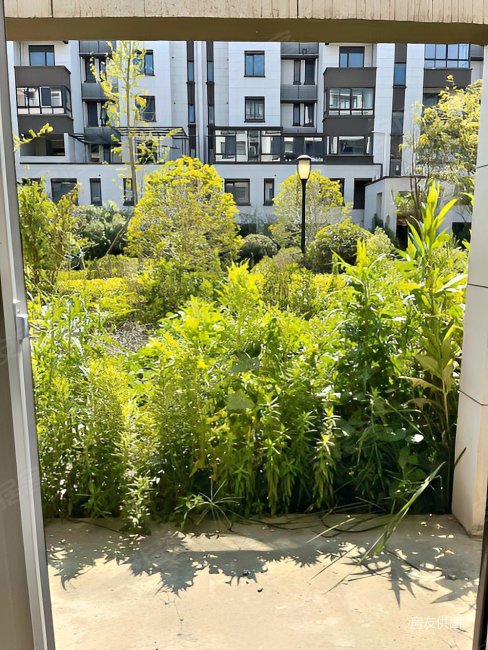 高淳花样年 12跃层 142平 前后大院子115万 满两年,花样年花郡二手房