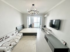 乐山市中电信广场电信广场恒地大道 一室精装电梯房 家具家电齐全 拎包入住出租房源真实图片