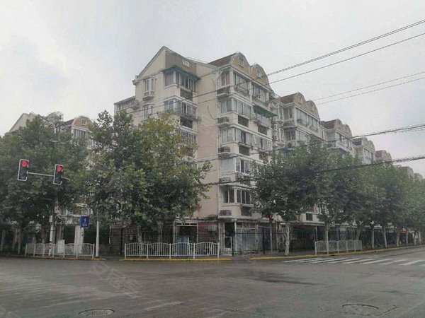 上海宝山大华梧桐城邦(三期别墅)网红,创业者,富豪来看看你们的金屋