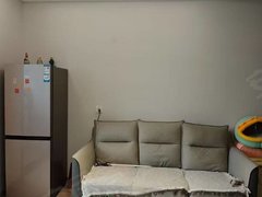 射阳射阳城西后羿公园公园壹号电梯房，公寓，一室一厅，精装修，设施齐全，拎包入住出租房源真实图片