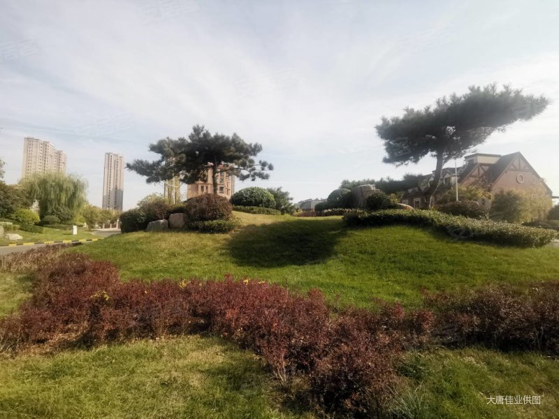 青岛碧桂园二手房,55万,2室2厅,1卫,89平米-青岛安居客